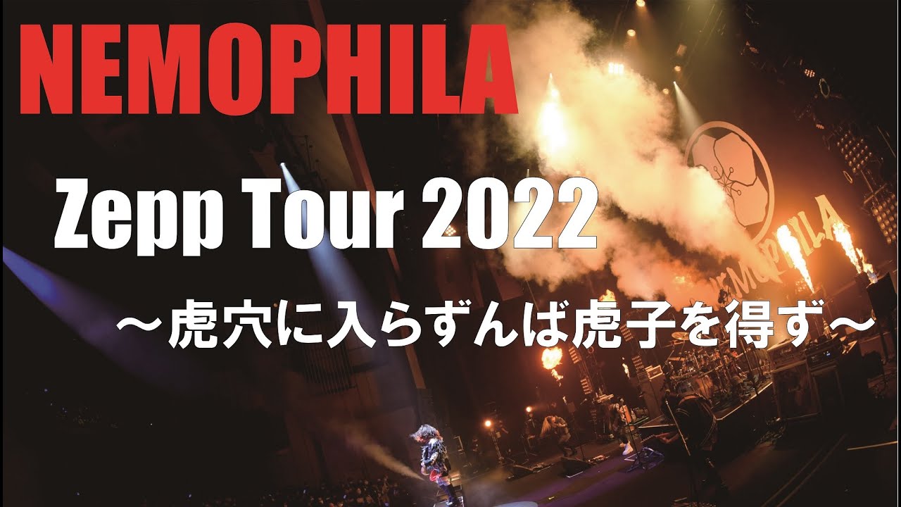 SUMMER GAME チケット 2019年8月22日 半券 NEMOPHILA SUMMER GAME