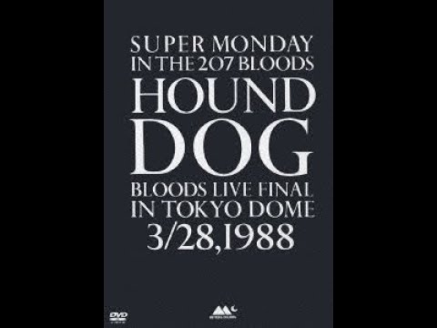 ミュージック HOUND DOG BLOOD LIVE FINAL SUPER MONDAY IN THE 207