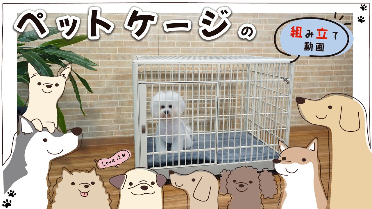 ペットケージ キャスター付き | 犬用 Lサイズ - キカイヤ/工具の