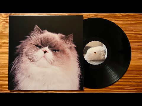 カネコアヤノ – 燦々 – CD (Album, Stereo), 2019 [r20155612] | Discogs