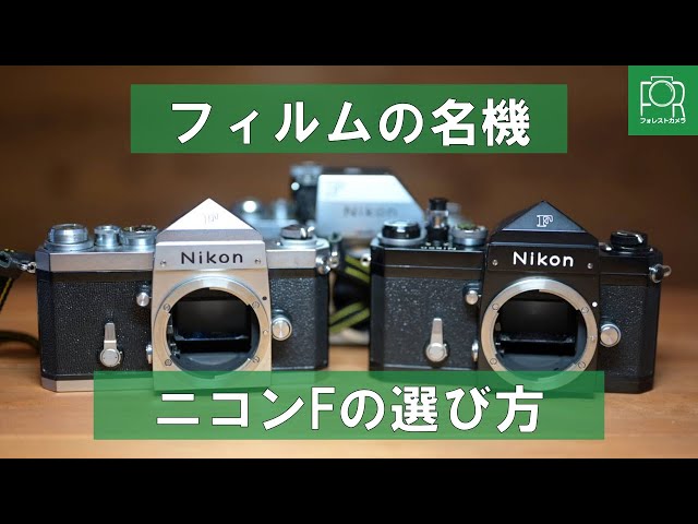 Nikon F アイレベルファインダー Cあり 50 1.4 ニコン 美品 赤城耕一
