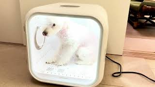 犬のドライヤーボックス「Drybo Plus」実機レビュー！使って分かった