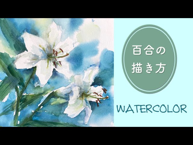 Watercolor painting course for beginners 79] How to draw lilies