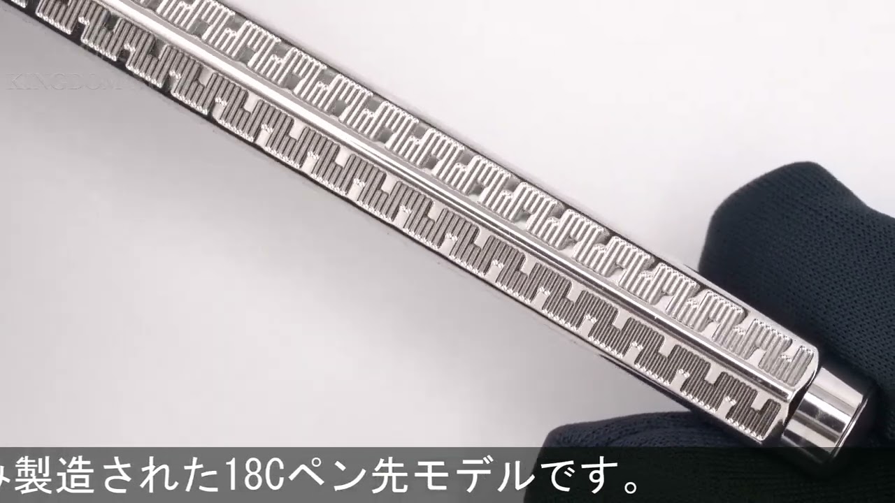 CARAN d'ACHE カランダッシュ 万年筆 エクリドール タイプ55 18C/M