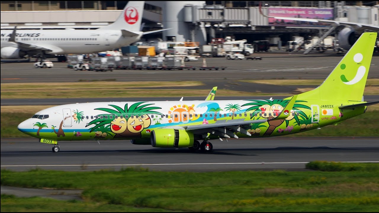 Solaseed Air Nassi Jet Miyazaki Livery Boeing 737-800 JA803X