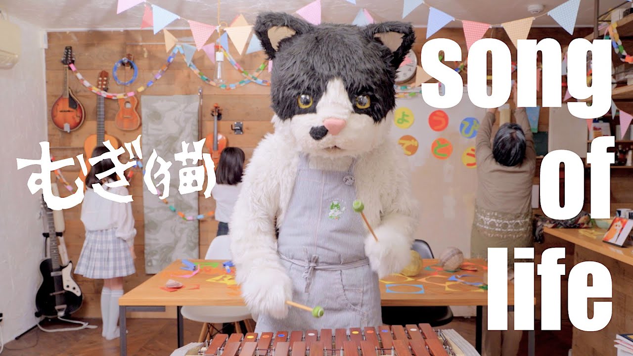 むぎ(猫) - YouTube