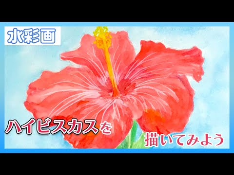 ハイビスカス。画家の作品、古典画水彩、最終値下げ。 ハイビスカス