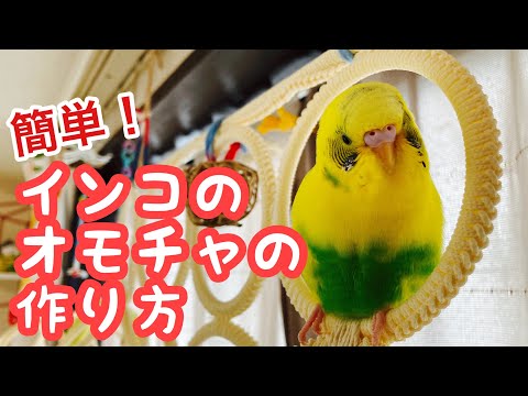 簡単！！制作時間20分。インコ用のおもちゃの作り方！【セキセイインコ