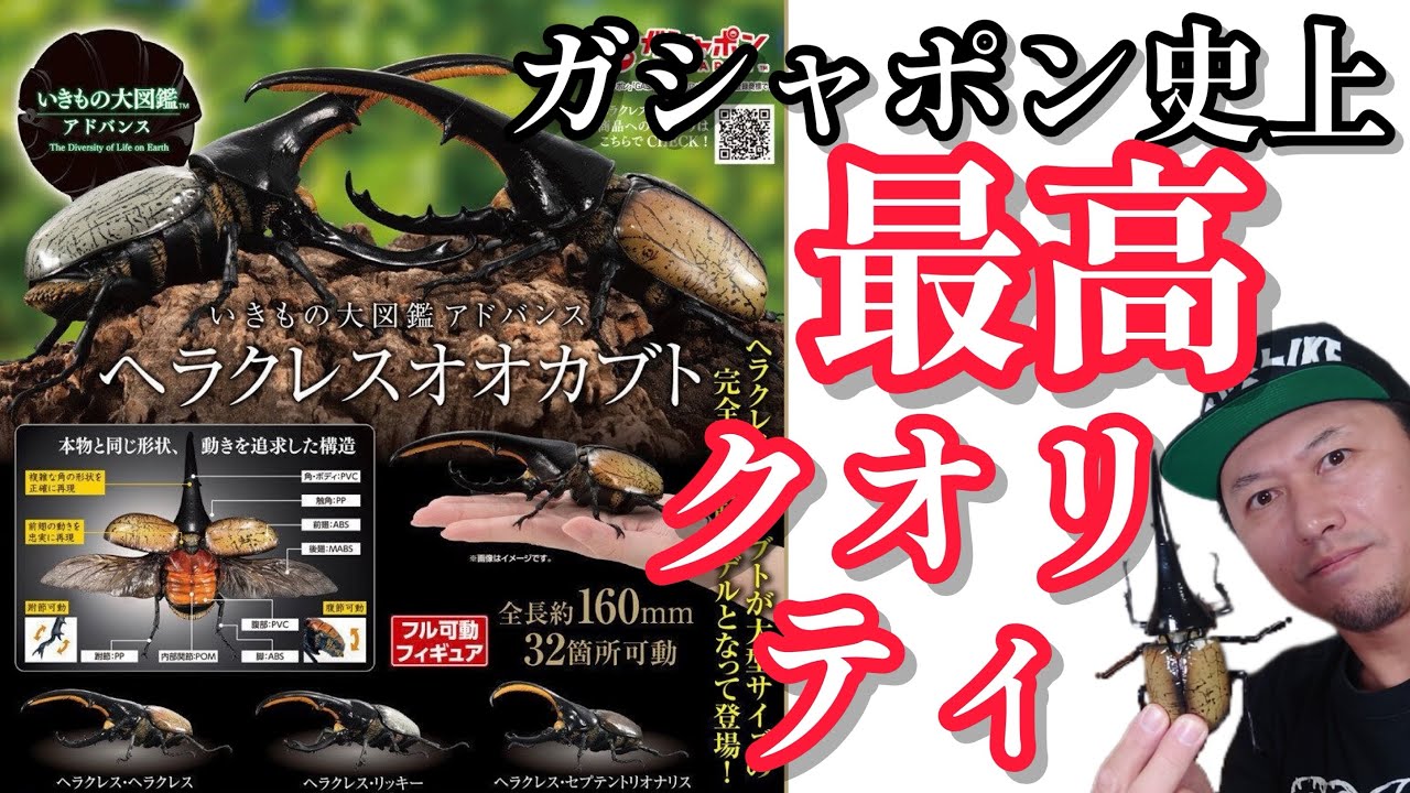 ちゃんねるカワランド】カワモト文明 - YouTube