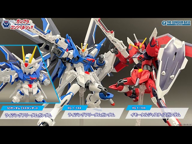 HGライジングフリーダムガンダムとイモータルジャスティスガンダム HG