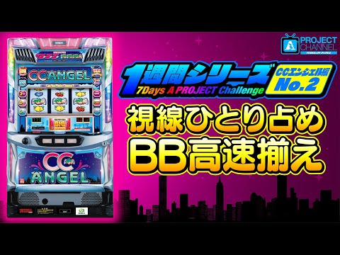 1週間シリーズ【CCエンジェル編2】｜A PROJECTチャンネル - YouTube