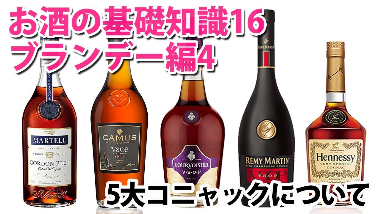 サントリー ニッカ CAMUS ブランデー3本セット 2025年最新】ブランデー