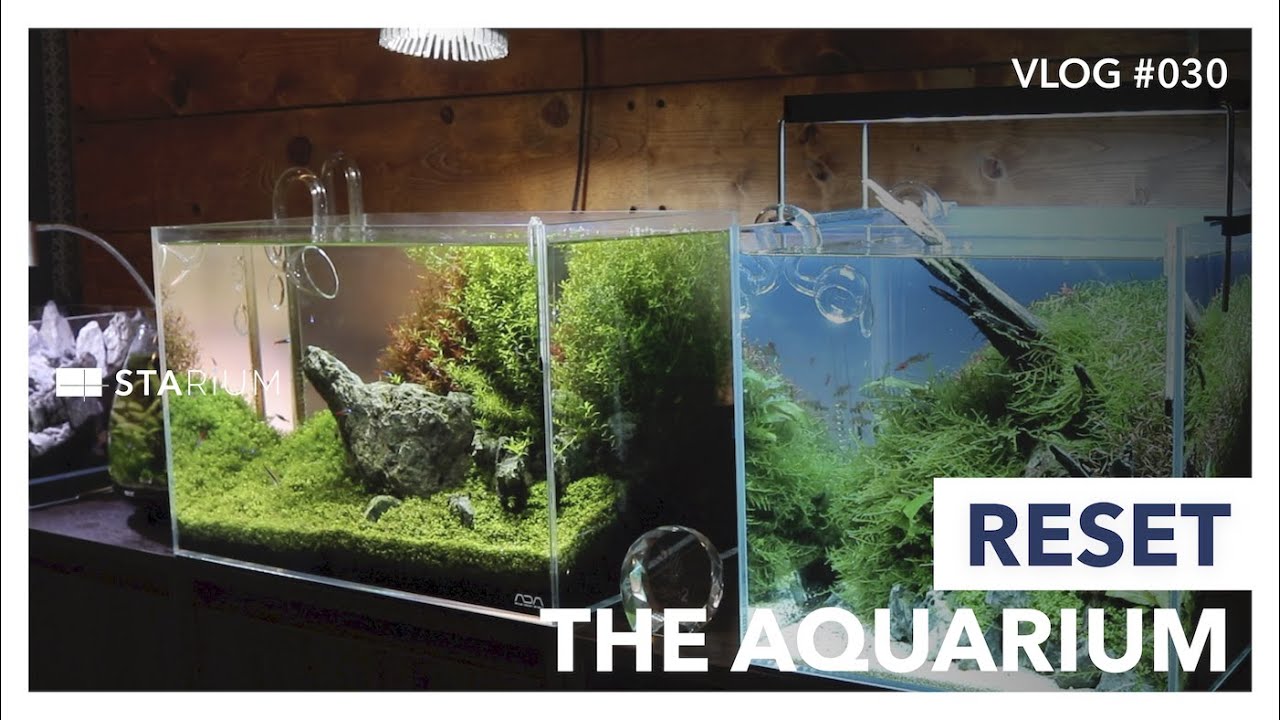 引き取り限定 ADA45㎝ 陰性水草水槽フルセット 引き取り限定 】45㎝ADA