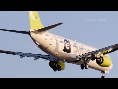 special livery HND/RJTT] Solaseed Air Boeing 737-800 [羽田空港