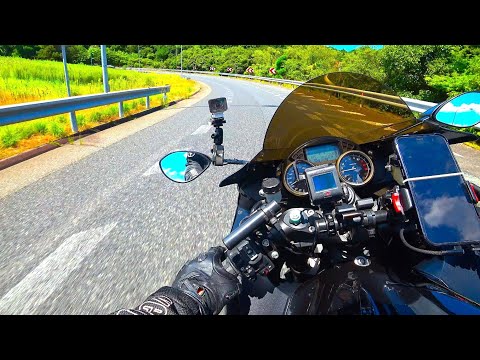 ラッカ庵野赤緑モモキング黒単ゼナーク