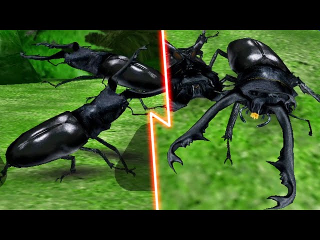 ギラファノコギリクワガタ パーフェクトキング ARS10 PSA10相当