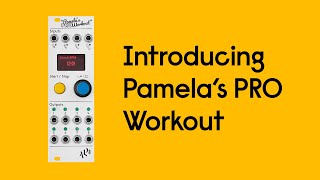 ALM Busy Circuits Pamela's Pro Workout - Perfect Circuit