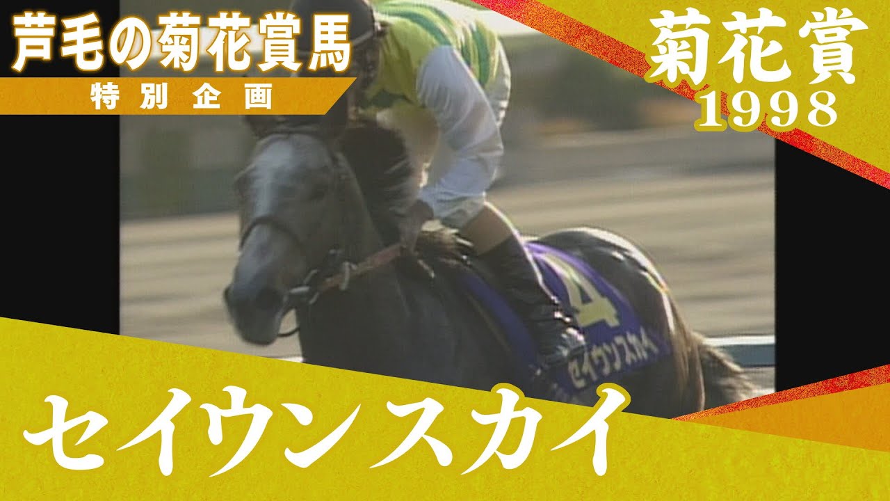 芦毛の菊花賞馬 #3【セイウンスカイ】1998年菊花賞 実況：杉本清