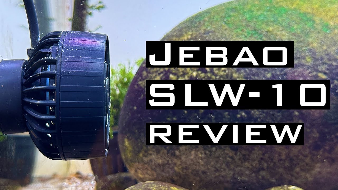 Jebao SLW-10 Powerhead - Review & Unboxing! - YouTube