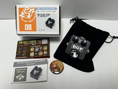 THE NEXT SOUND CH-06 CAT 購入紹介！ - YouTube