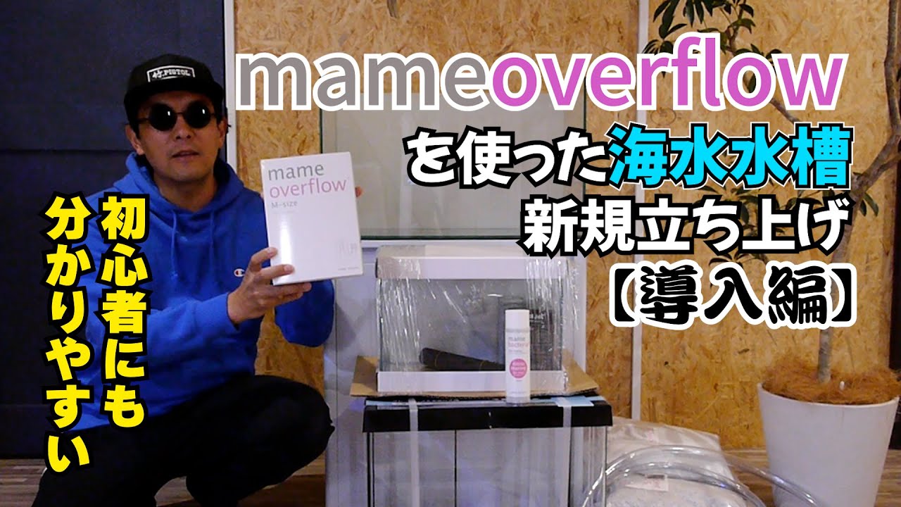 New Aquarium Setup] 60cm Saltwater Aquarium Setup Video ①