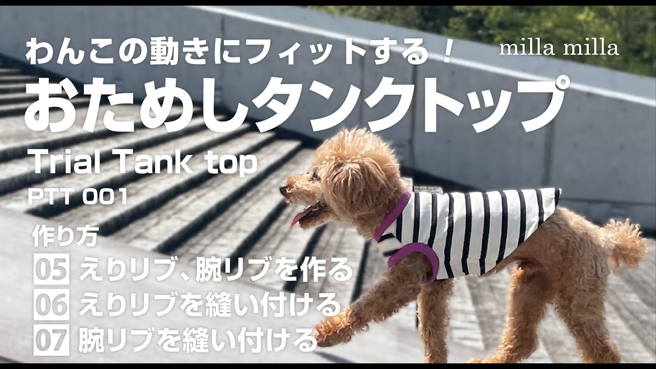 犬服ハンドメイド タンクトップ(小春0303) 犬服ハンドメイド タンク