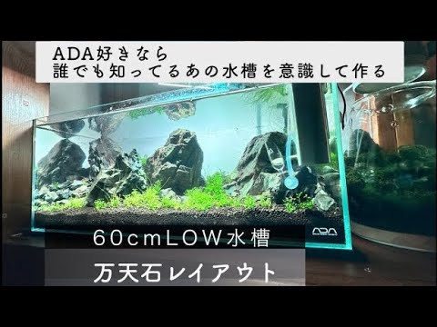 アクアリウム】ADA60センチ水槽立ち上げ 万天石水槽レイアウト