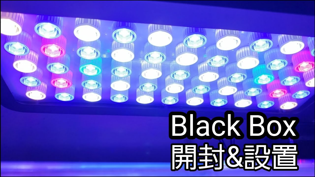 BlackBox LED 開封&設置 - YouTube
