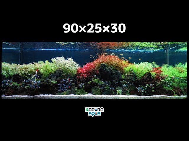 90センチスリム水槽 スリム ガラス 90cm 水槽」の人気商品一覧 | 安い