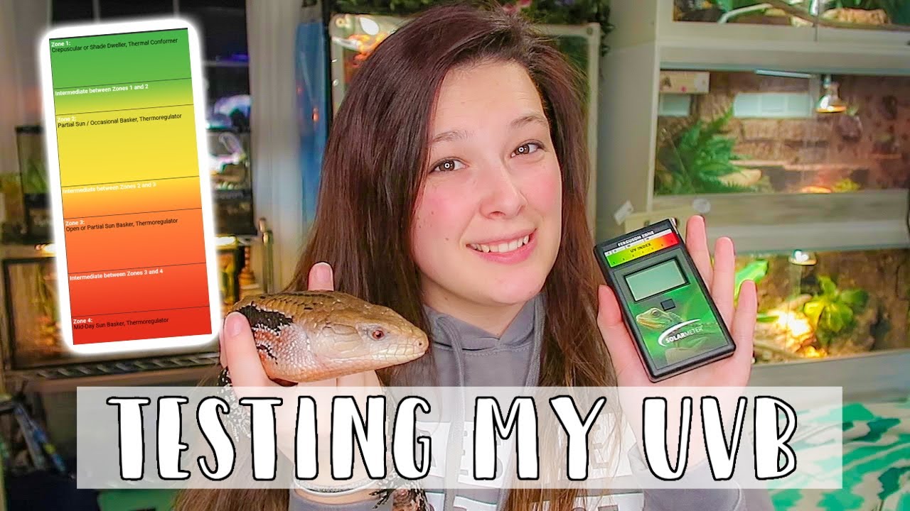 Zoo Med Digital UV Index Radiometer - YouTube