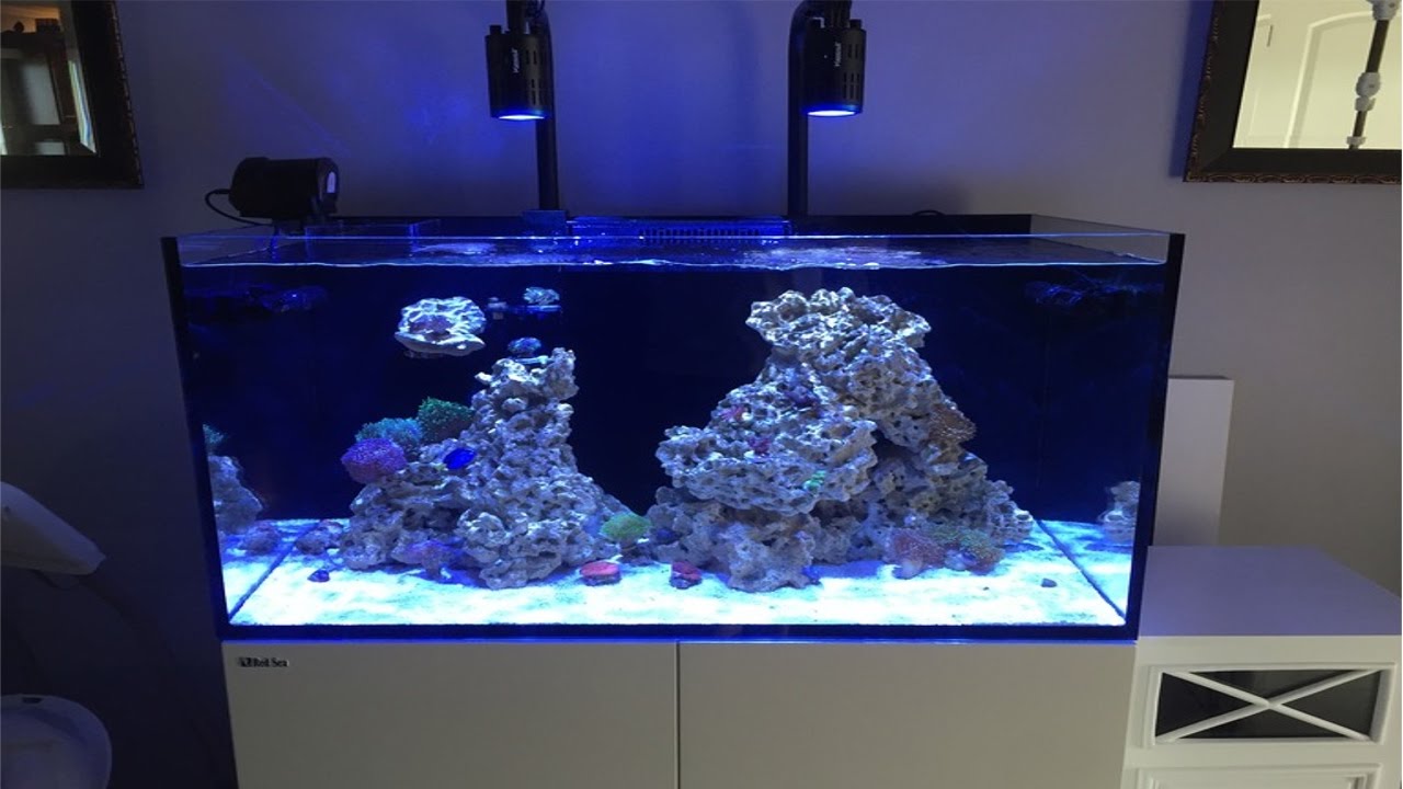 水槽 BRN32 Red Sea Reefer 250 Red Sea REEFER-250 G2 Deluxe Premium
