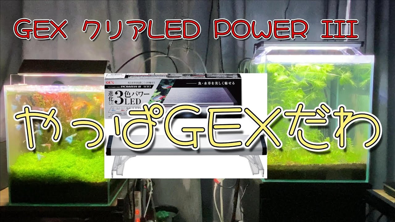 GEX クリアLED POWER III #アクアリウム - YouTube