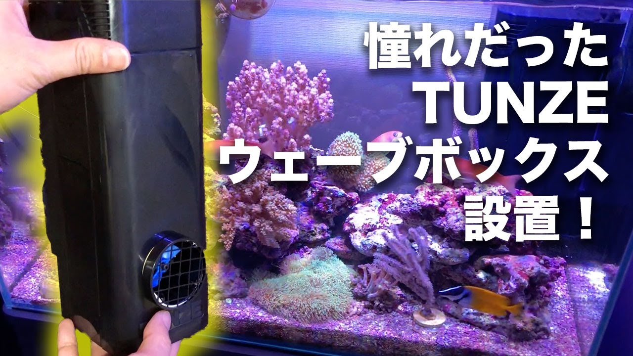 It's a good opportunity to change to TUNZE Wavebox! - YouTube