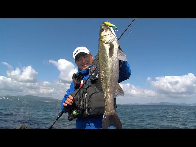 ジャンク：ヤエスFT757SXII 【公式通販】