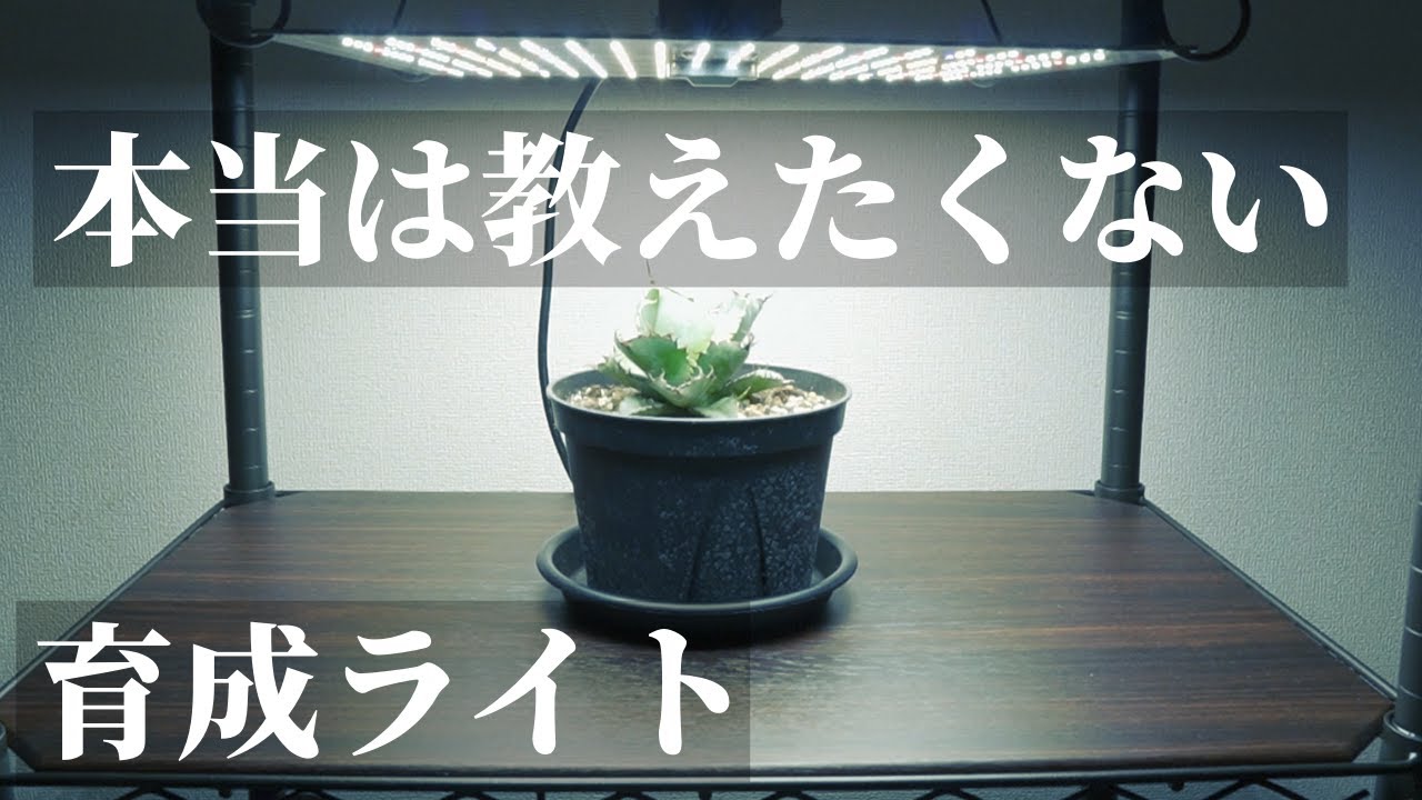 おすすめ】安心！安全！コスパ！パネル型の植物育成用LEDライト「怪獣