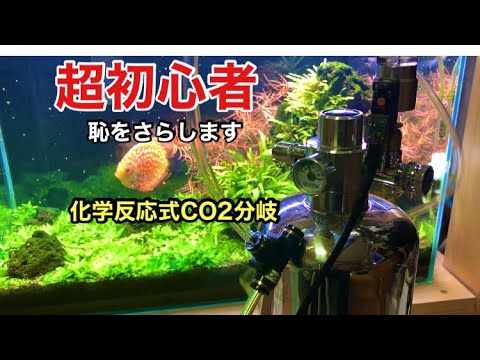 アクアリウム初心者】化学反応式CO2ボンベ分岐 - YouTube