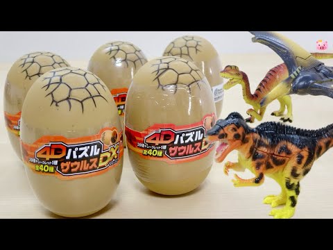 12点セット 4Dパズル ザウルスDX 4D PUZZLE ZOO DX（4Dパズル ZOO