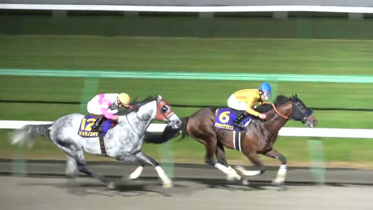 ☆アドバンスヘイロー 三浦皇成騎手 新人最多勝記録達成時サイン入り馬券