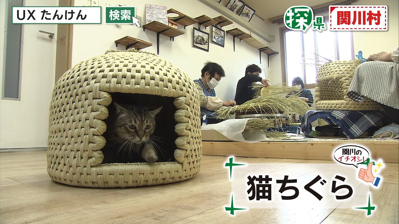 関川村🔎探県プロジェクト【PR動画：名物・魅力・見どころ編】 - YouTube