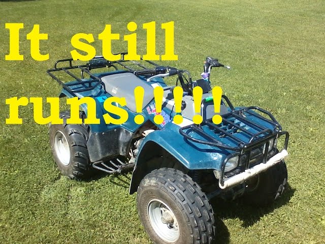 1995 bayou 220 review: like an armored cockroach! - YouTube