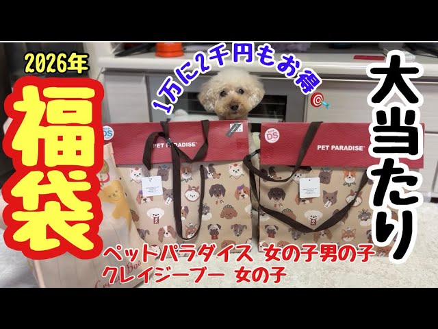 2026 Lucky Bag] Big Hit? 🎯 Pet Paradise & Crazy Boo Unboxing