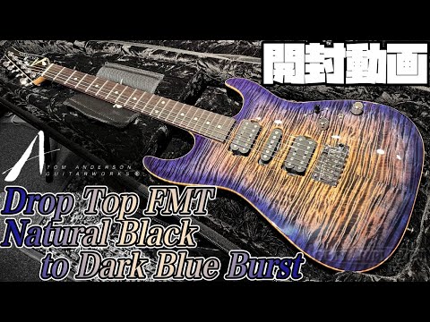 アンダーソン アップルギター 楽天市場】H.S.Anderson HS-A1 Custom