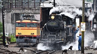 大井川鉄道蒸気機関車プレートおそらくレプリカ