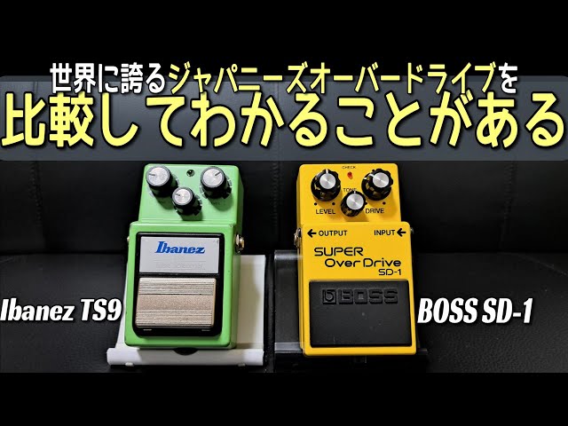 悩んでいるならこれで解決！】BOSS SD-1 VS Ibanez TS-9