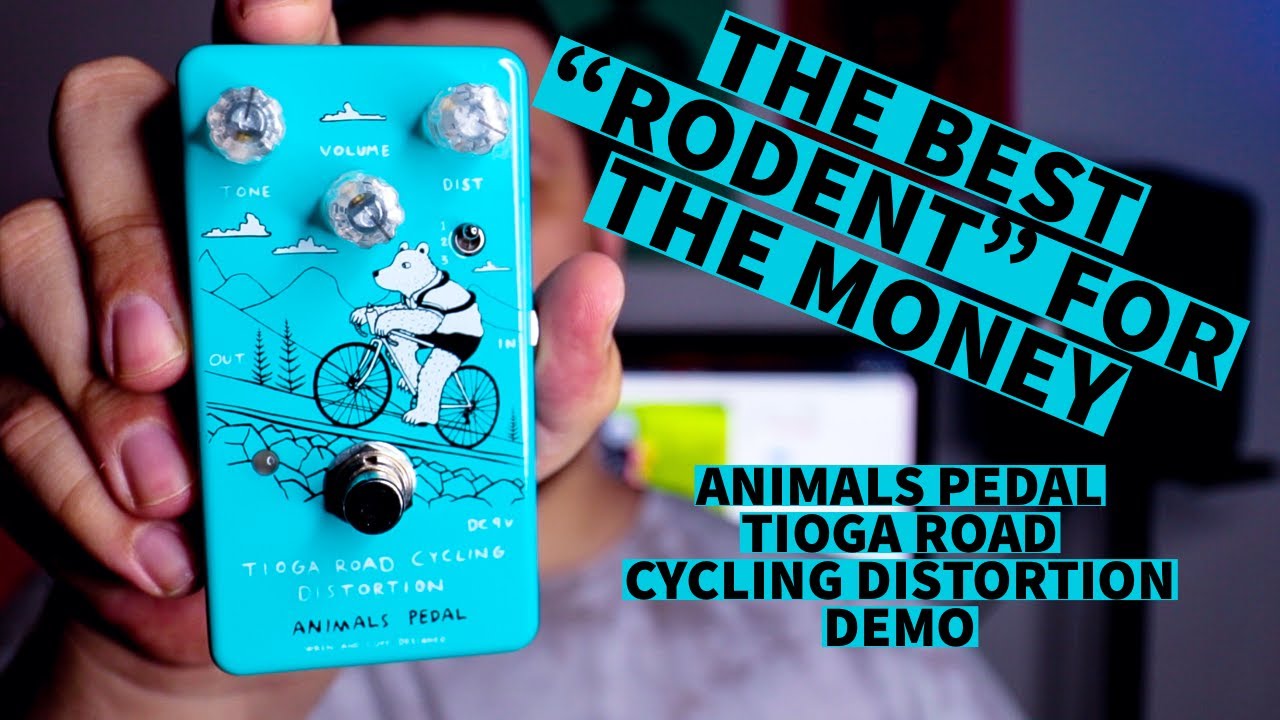 ANIMALS PEDAL TIOGA ROAD CYCLING DISTORTION DEMO (THE BEST RAT FOR