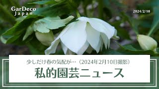 花摘みの連作 花摘み 花摘みの連作 カード検索 ｜ Z/X - Zillions of