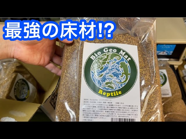 売切多発⁉︎】バイオジオマットを購入しました【消臭】【床材】 - YouTube