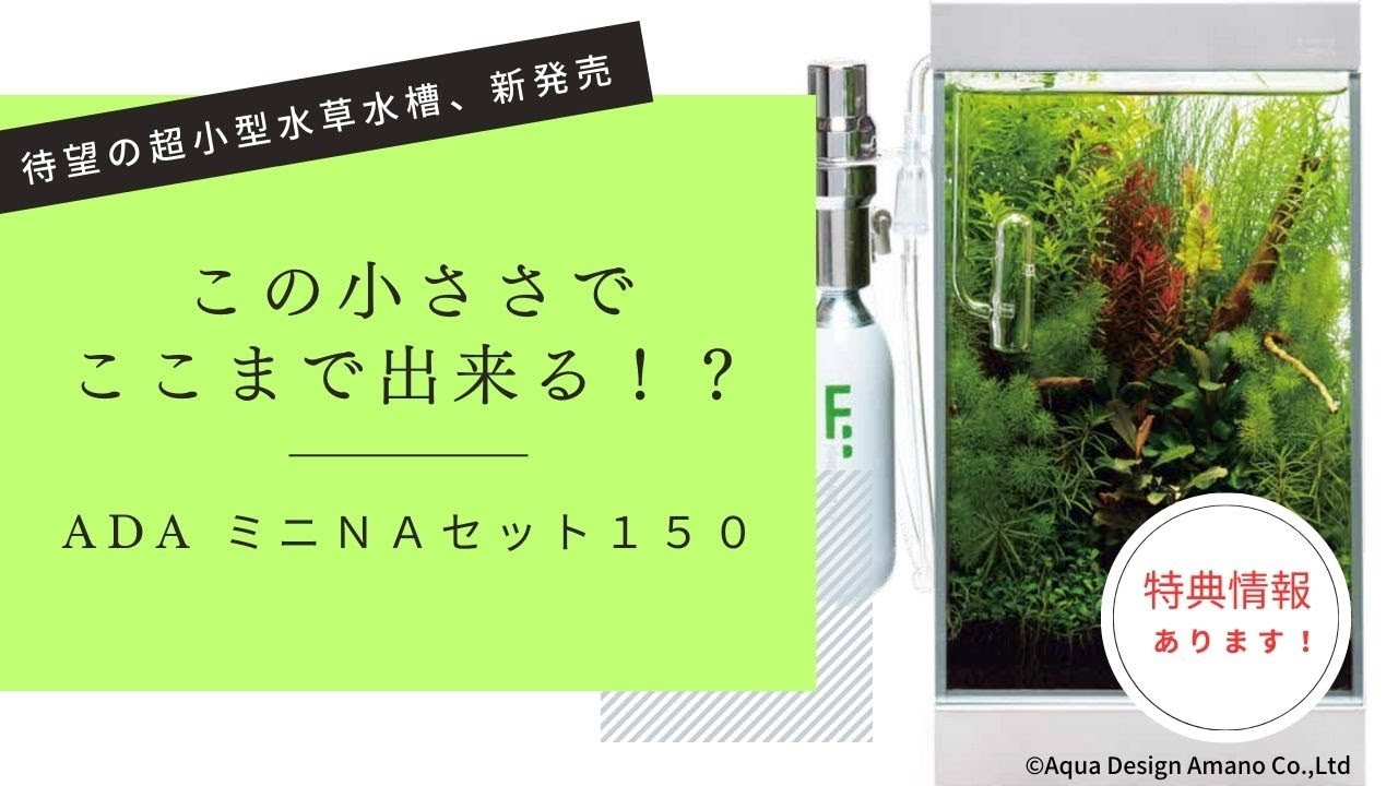 特典有り！超小型なのに超本格的な水草水槽作れます！ADAミニNAセット