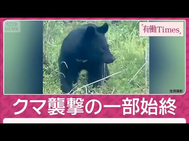 目撃相次ぐ】北海道で“クマの親子”が車に接近 子グマ守ろうと威嚇か