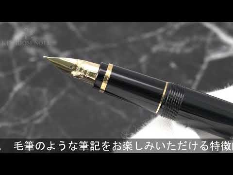 PILOT パイロット 万年筆 ナミキ ファルコン 軟中字 - YouTube
